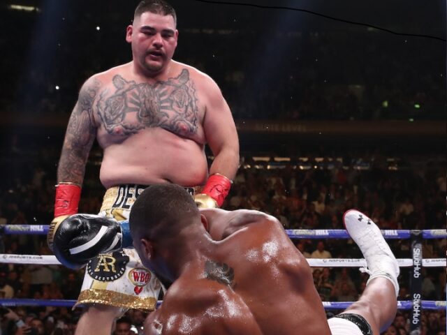 joshua-andy-ruiz-fight85.jpg