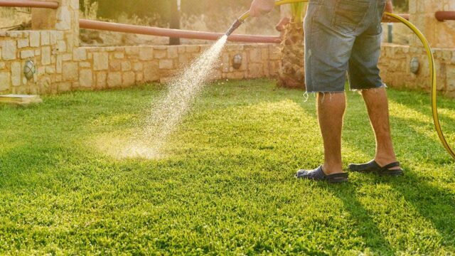 man-watering-lawn-fox-news-001.jpeg