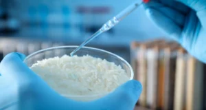 Cientistas descobriram uma propriedade incrível do arroz e o transformaram em um material inteligente
