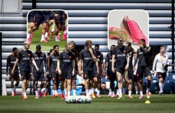 Não laranja, mas rosa: seleção holandesa chuta muitos flamingos