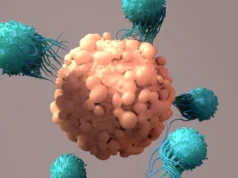 Uma única proteína pode impedir a terapia do câncer CAR T
