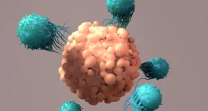 Uma única proteína pode impedir a terapia do câncer CAR T