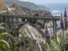 Com a Rodovia 1 aberta, Big Sur enfrenta o verão mais movimentado dos últimos anos