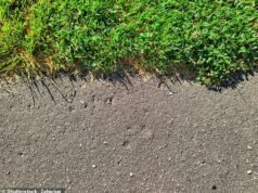Estamos preocupados que os vizinhos comprem o terreno pavimentado do município perto do fundo do nosso jardim e construam nele – quais são as nossas opções?