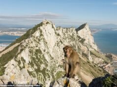 Gibraltar, favorável aos impostos, aumenta os requisitos de riqueza para expatriados ricos para £ 5 milhões