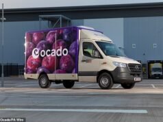 As ações da Ocado caíram para o nível mais baixo em 13 anos, à medida que os investidores perdiam a paciência com sua fraca divisão de tecnologia