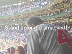O torcedor de beisebol que deu um tapa em um jovem por insultar o hino nacional falou em silêncio… e revelou a verdade por trás do clipe chocante