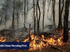 Ministro do Interior diz que dois foram presos por causa de incêndio na floresta de Fontainebleau, perto de Paris
