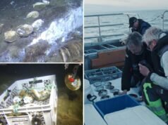 O naufrágio ‘espetacular’ foi descoberto em águas norueguesas com uma cápsula do tempo contendo carga intocada