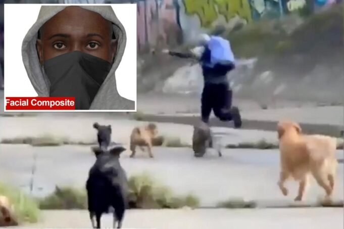 Filhotes heroicos salvam um passeador de cães de uma tentativa de estupro depois que um animal mascarado tenta persegui-lo até um túnel