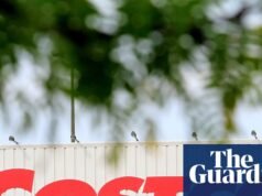 Costco acusado em ação judicial de vender proteína em pó ‘contaminada’ com metais pesados tóxicos | Estado de Washington