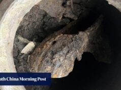 A descoberta da cabeça de cavalo pelos cientistas chineses lança luz sobre as antigas tradições aristocráticas de sacrifício.
