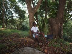 A Europa deveria olhar para África em busca de soluções para as ondas de calor. crise climática