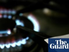 ‘Os clientes preferem chatbots de IA’, diz o proprietário da British Gas enquanto 1.300 empregos em call centers são cortados | centrista