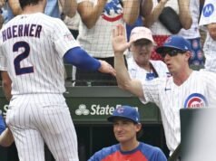 Os Cubs estão ganhando impulso na série em casa contra os Tigers.