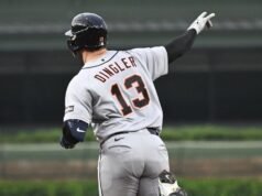 Os Tigres procuraram enfrentar os Cubs em torno de Dillon Dingler.