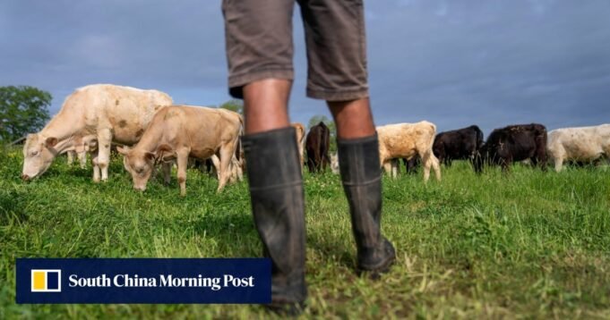 USDA corta vendas de exportação de carne bovina em 90% em meio ao crescente ceticismo em relação aos dados USDA corta vendas de exportação de carne bovina em 90% em meio ao crescente ceticismo em relação aos dados