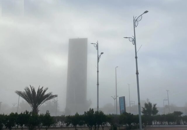 3041073.jpg