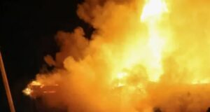 Durou 6 dias… Um incêndio florestal reinou nos jardins da Alemanha