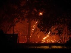 Os incêndios florestais estão fora de controle. Espanha declara estado de emergência em Madrid