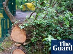 Burnham pede o abandono de planos ‘falhos’ que permitiriam aos desenvolvedores ignorar as leis ambientais por £ 1 | Política de planejamento