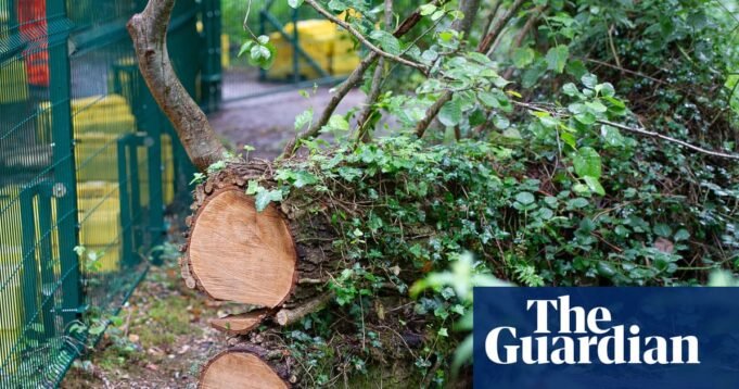 Burnham pede o abandono de planos ‘falhos’ que permitiriam aos desenvolvedores ignorar as leis ambientais por £ 1 | Política de planejamento Burnham pede o abandono de planos ‘falhos’ que permitiriam aos desenvolvedores ignorar as leis ambientais por £ 1 | Política de planejamento