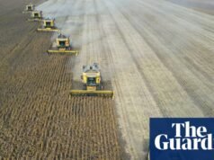 ‘Super’ El Niño pode causar choque global nos preços dos alimentos que durará até 2028, dizem analistas | Economia global