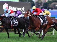 Greg Lee está inclinando o cavalo para ganhar o Winter Stakes e o Epsom Handicap
