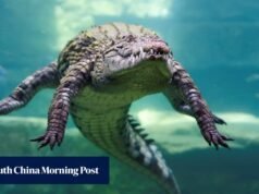 Uma mudança no regime israelita abriu caminho à utilização de crocodilos para evitar arrombamentos de prisões.