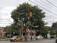 Agressão a motorista em Coronel Arias no sinal vermelho