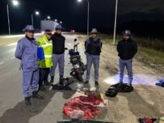 Dois homens foram presos no Chaco por caça ilegal e porte de armas