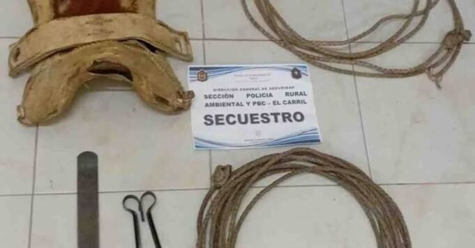 O Ministério Público resolveu com sucesso o roubo na fazenda de Rosário de Lerma