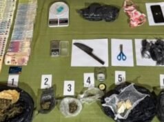Autoridades apreenderam mais de 137 mil doses de drogas em Jujuy