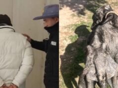 Proprietário é preso por crueldade contra animais em Pampa del Indio