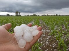 A história do granizo e seu impacto na agricultura