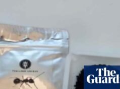 Proprietário de restaurante com estrela Michelin na Coreia do Sul enfrenta pena de prisão por causa de sobremesa de formiga | Coréia do Sul