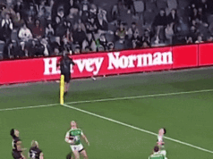 Edwards e Jenkins brilharam para os Panteras depois que a corrida mental de Walker custou Souths