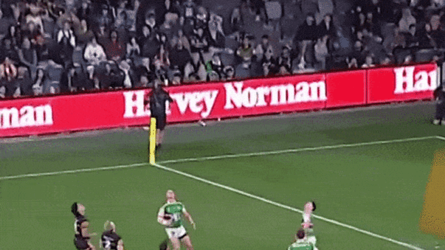 95102e875465a2b58083123848846fc93d07aabd9a2763b106ea4403768983d7.gif