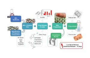 O adesivo de microagulhas: um avanço promissor na luta contra a anemia ferropriva