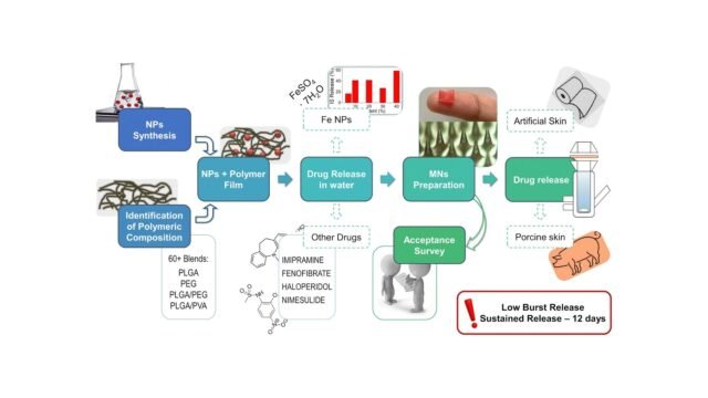 A-microneedle-transdermal-patch-loaded-with-ironii-nanoparticles-for-non-invasive-sustained-delivery.jpeg
