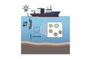 Incubadora alimentada por IA avança na compreensão da dinâmica do carbono oceânico