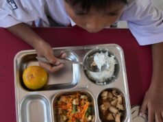 Programa de alimentação gratuita da Indonésia acusado de corrupção e desperdício | Notícias de negócios e economia