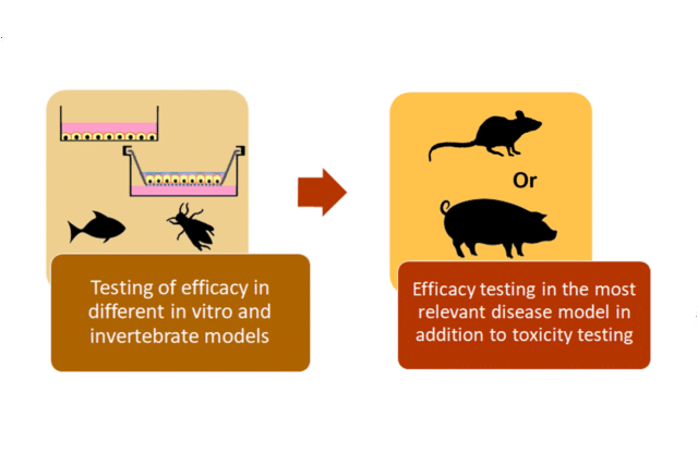 Animals_in-Respiratory-Research.png