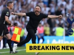 Tottenham e Everton escolhem Raoul Bellanova