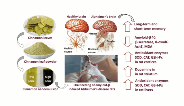 Improving-Alzheimers-Disease-and-Parkinsons-Disease-in-Rats-with-Nanoemulsion-and-Byproducts-Prepare.png