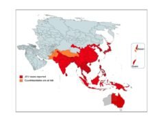 Especialistas alertam antecipadamente sobre o risco de surgimento de encefalite japonesa nos EUA