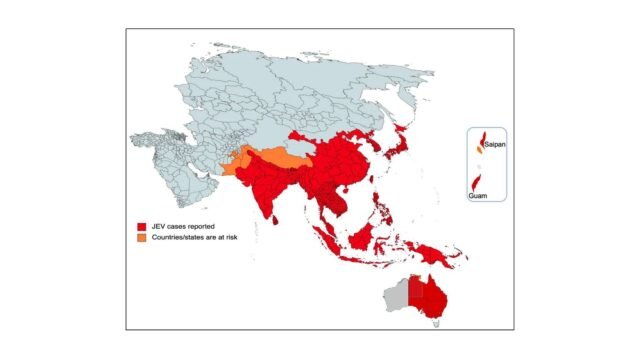 Japanese-Encephalitis-Risk-of-Emergence-in-the-United-States-and-the-Resulting-Impact.jpg