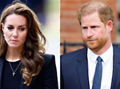 Kate Middleton não pressiona pela reunião do Príncipe William e Príncipe Harry: especialistas