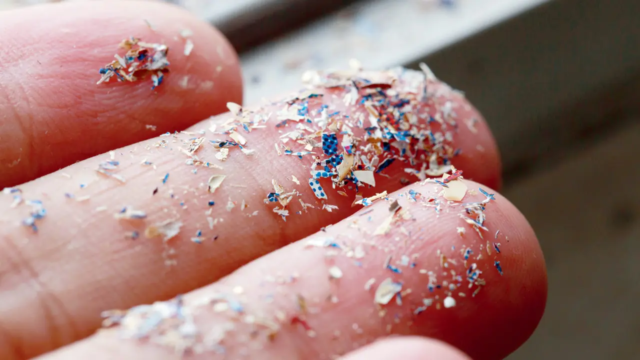 Microplastics-1784302071809_d.png