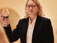 Trine Dyrholm estrela o drama de Mads Mengel, “The Guest”